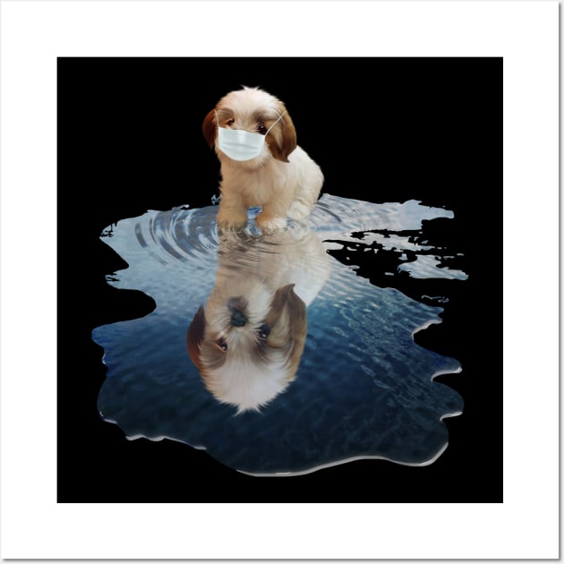 Funny shih tzu t shirts sale
